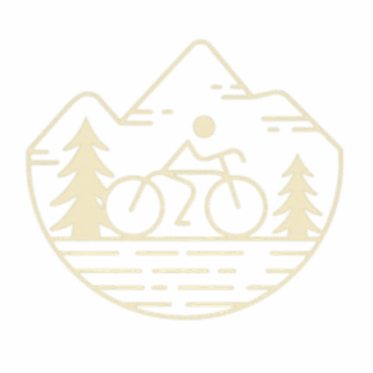 Bike Of Betting