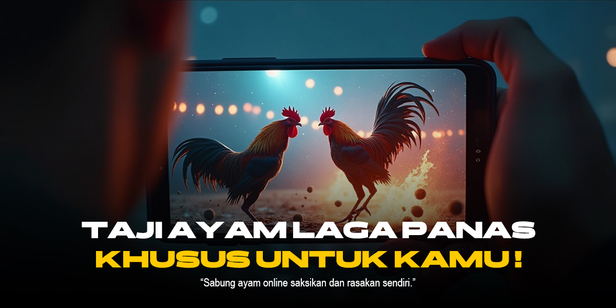 Mengupas Tuntas Sabung Ayam SV388: Jenis Ayam, Odds, dan Provider Terpercaya